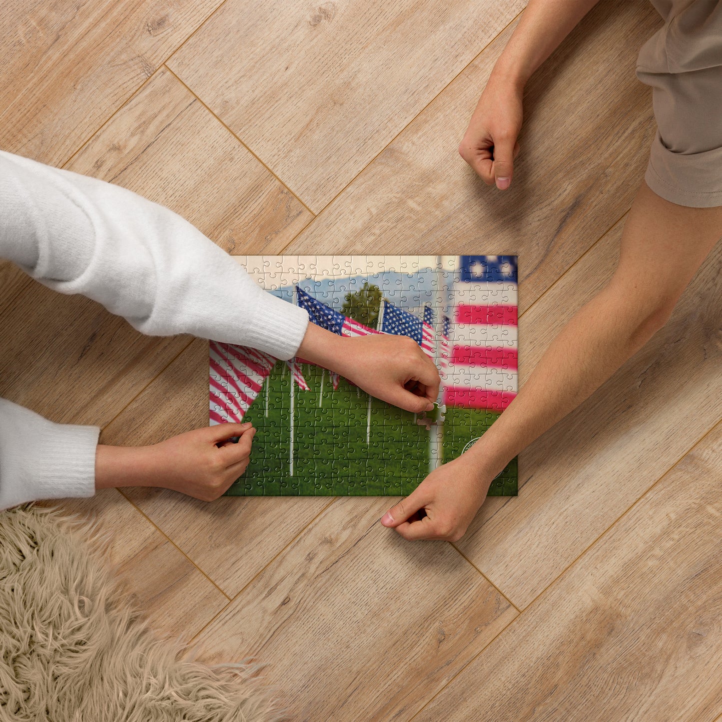 American Flags Puzzle
